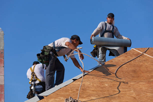 Roof Waterproofing Services in Homestead, FL