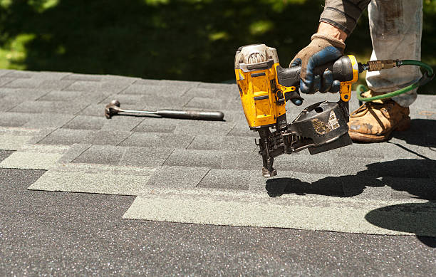 Best Roof Gutter Cleaning  in Homestead, FL